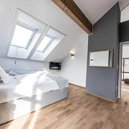 Stella Famous Areas Around Us, 15 Minutes To Salzburg, Mountainview Vila