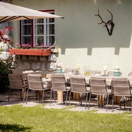 Stella Famous Areas Around Us, 15 Minutes To Salzburg, Mountainview غولنغ ان دير سالزا